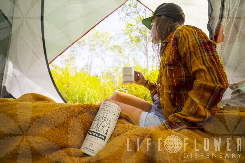 camping with stillwater tea