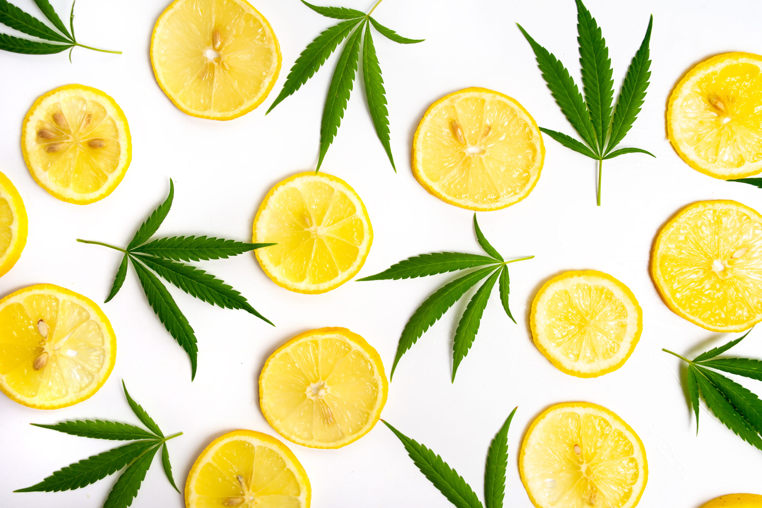 lemon cannabis