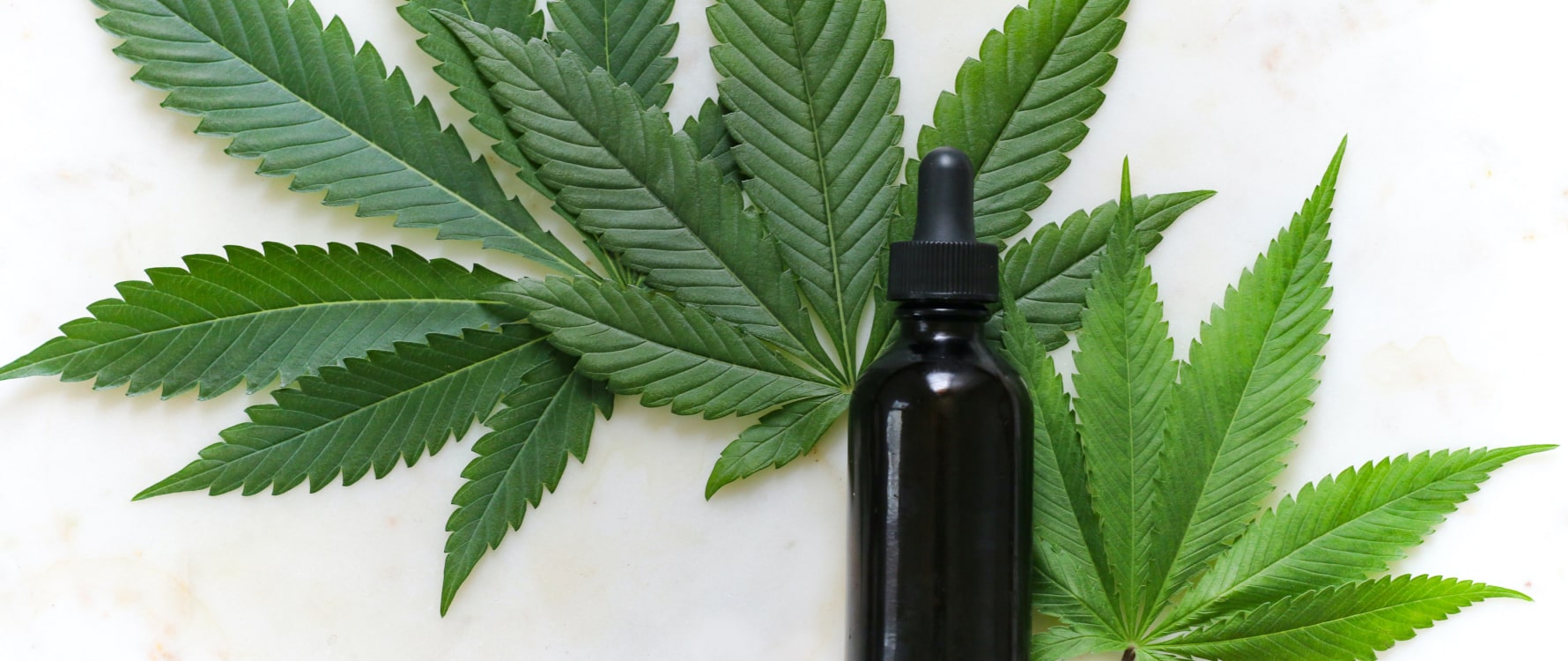 Cannabis Tinctures For Sale Denver - Cannabis-Infused Olive Oil