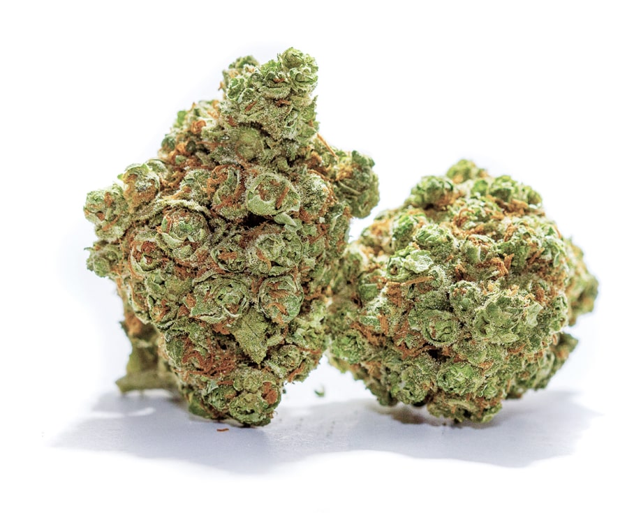 Denver Marijuana Dispensary Organic Flower nug