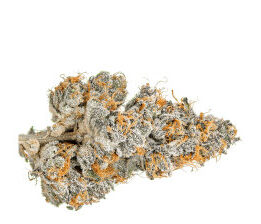 Organic Cannabis Bud with Orange hairs